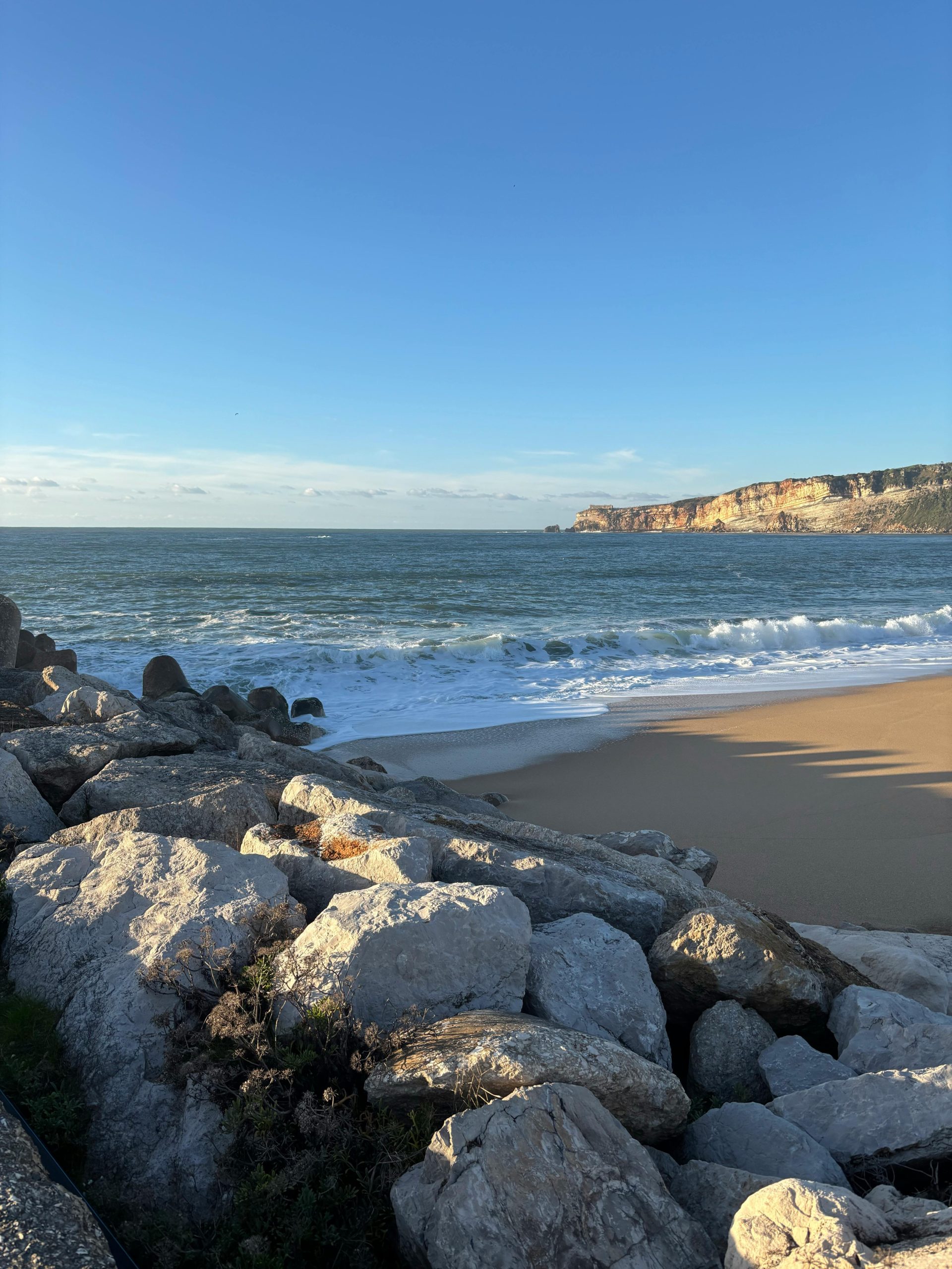 pexels fabricio dionisio 2156117623 35728031