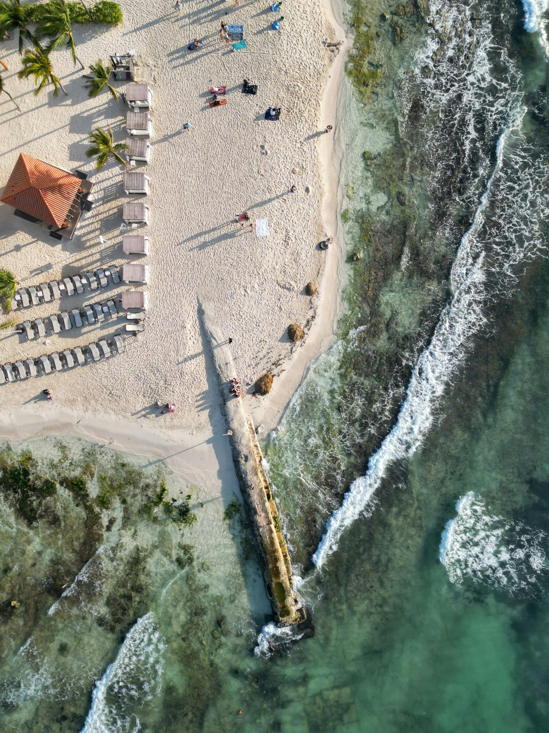 auto draft auto draft